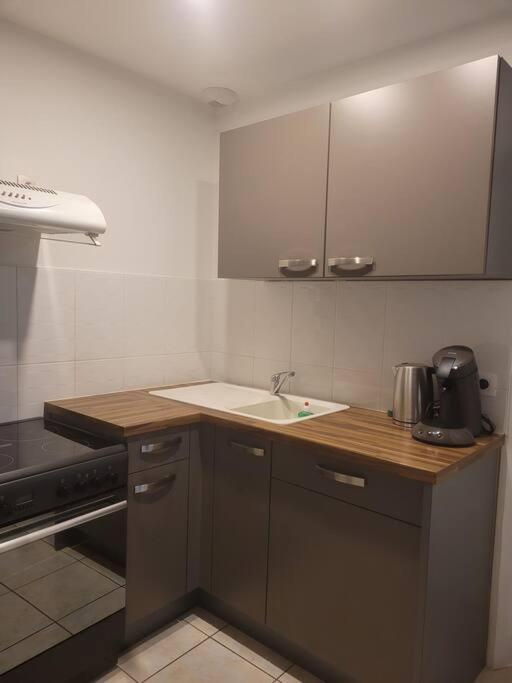 Appartement Sur La Place De Poncin المظهر الخارجي الصورة